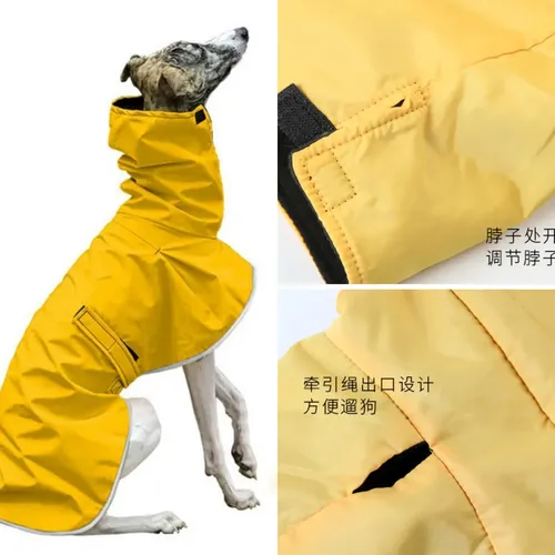Hund hoher Kragen Jacke wasserdichter Mantel Regenmantel verstellbare italienische Windhund Kleidung