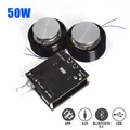 1 Set 50W 2.0 HIFI Vibrazione Altoparlante Stereo Portatile Audio Altoparlante Bluetooth 5.0 Classe D Sistema di Amplificatore FAI DA TE Home Theater