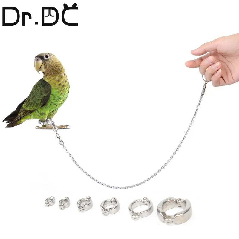 Dr.DC Bord Edelstahl Kette Papagei Anti-fliegen Zugseil Vogel Füße Armband Legierung Fuß Ring Haustier Vogel Reise liefert Image