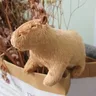 18cm Capybara Plüsch Simulation Capibara Anime Fluffty Spielzeug Stofftiere weiche Puppe Kinder