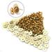 Brass Fasteners For Chain Link Fence View Blocking Privacy Tape Weave