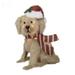 Angfeng LED Christmas Dog Yard Decor - 2024 Outdoor Christmas Decorations Yard Signs Acrylic Dog Garden Stake with Lights Garden Statues for Backyard Lawn Pathway Christmas Decor(Christmas Dog 08)