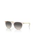 Ray-Ban Ray Ban Rounded Sunglasses - Transparent Pink