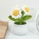 Petits pots de fleurs en laine blanche simulation de fleurs destruction petite décoration 1PC