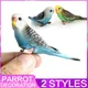 Simulation Wald Papagei Figuren Miniatur Tiermodell Vogel Figur Fee PVC Kunststoff Handwerk
