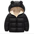 DxhmoneyHX Kids Boys Girls Fleece Jacket Bear Ear Zip Up Hoodie Thicken Sherpa Coat with 2 Pockets Solid Long Sleeve Outerwear Winter Warm Clothes