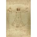 Pre-Owned Leonardo da Vinci Notebooks - The Vitruvian Man: 120 College ruled lined pages - Leonardo da VinciÃƒÂ¢Ã¢â€šÂ¬Ã¢â€žÂ¢s Notebook Journal Sketchbook Diary Manuscript (The Vitruvian Man) Paperback