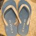 Coach Shoes | New With Tags Coach Zak Flip Flops Size 7 White With Baby Blue Soles | Color: Blue/White | Size: 7