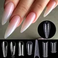 faux ongles capsule ongle nails press on nails colle faux ongle Extension de faux ongles en