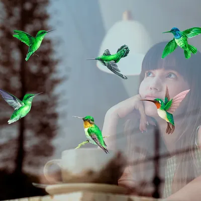 6 Teile/satz Vogel Anti-vogel 3D Auswirkungen Warnung Elektrostatische Aufkleber Katze Dinosaurier Image