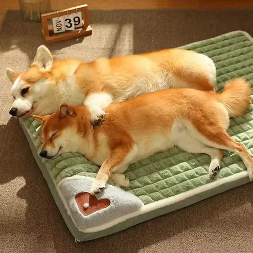 Hunde matte Hunde bett Luxus-Sofa für kleine mittelgroße Hunde Plaid bett für Katzen Hunde Flusen