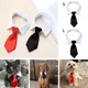 Haustier Hund Katze formale Krawatte Smoking Fliege schwarz und rot Halsband für Hund & Katze