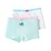 Kids Little Girls Cotton Underwear Toddler Soft Boxer Briefs Panties Cartoon Big Girls Undies 2-Pack for 3-11 Years
