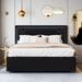 Ivy Bronx Kedarius Queen Size Platform Bed w/ Rivet-decorated LED Headboard & Four Drawers Upholstered/Velvet in Black | Wayfair