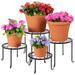 Arlmont & Co. Riste 4 Indoor Outdoor Plant Stands, Flowerpot Holders for Home & Garden w/Starburst Design in Black | Wayfair