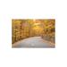 Millwood Pines USA, Maine, Mt. Desert Island. Acadia National Park Road. by Walter Bibikow - Wrapped Canvas Painting Canvas in Gray/Yellow | Wayfair