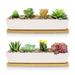 Latitude Run® 2 Pack White Succulent Planter Pots, 11.1 Inch Long Rectangle Ceramic Plant Container w/ Bamboo Saucers Ceramic in Brown/White | Wayfair