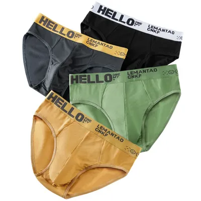 4Pcs Männer Slips Atmungsaktive Männer Sexy Unterwäsche Phnom Penh Herren Body Unterhose Männliche Bequeme Unterhose Image