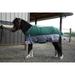 TuffRider Mini 1200D Ripstop Medium Weight 200gms Two Tone Turnout Blanket With Standard Neck- Hunter Green/ Grey Bottom & Trim - 44