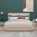 Latitude Run® Heta Queen Storage Platform Bed Upholstered/Metal/Linen in Brown | 43.7 H x 64.2 W x 82.7 D in | Wayfair