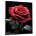 Bungalow Rose Red Black Rose Elegance IV - Floral Metal Wall Decor Metal in Black/Red | 20 H x 12 W x 1 D in | Wayfair