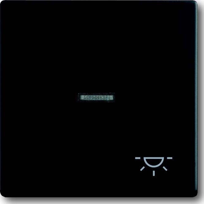 Busch-Jaeger Wippe sw mt 1789 LI-885 2CKA001751A3045 Image