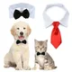 Haustier schwarze Fliege Hunde halsband für Hochzeiten mit hand gefertigtem verstellbarem weißen