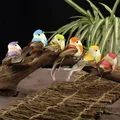 6 pz 10CM simulazione uccelli passero artificiale statua Desktop miniature ornamento di schiuma per