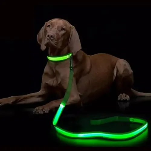 LED leuchten Hunde leine leuchtende Seil Leine für die Sicherheit des Hundes blinkende leuchtende