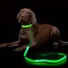 LED leuchten Hunde leine leuchtende Seil Leine für die Sicherheit des Hundes blinkende leuchtende