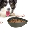 Gamelle en silicone en forme de fruit pour chien bol à alimentation lente anti-avertissement