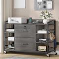 Latitude Run® 2-Drawer Lateral Filing Cabinet Wood in Gray | Wayfair BB66F2BC02334AE4AAB54012A4440C8F