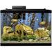 Tucker Murphy Pet™ 20 Gallons Rectangle Aquarium Stand, Glass in Black | 27.88 H x 16.13 W x 20.38 D in | Wayfair 7FB080F63A4049F49270FBC990952660