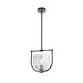 Artcraft Lighting Cheshire Collection 1-Light Pendant Black & Nickel - Black & Nickel