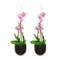 2 Pack Orchid Hanging Basket 5 Inch Bamboo Woven Hanging Orchid Planter Pot with Metal Plant Hanger for Indoor Outdoor Patio Garden Flower Planter Bird Nest Style
