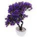 Mini Artificial Plants Flower Faux Bonsai Small Pots Indoor Simulation Pine Tree Fake Trees Desk Office