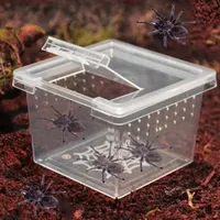 Kunststoff Reptilien Zucht box transparent Reptilien Terrarium Lebensraum für Skorpion Spinne