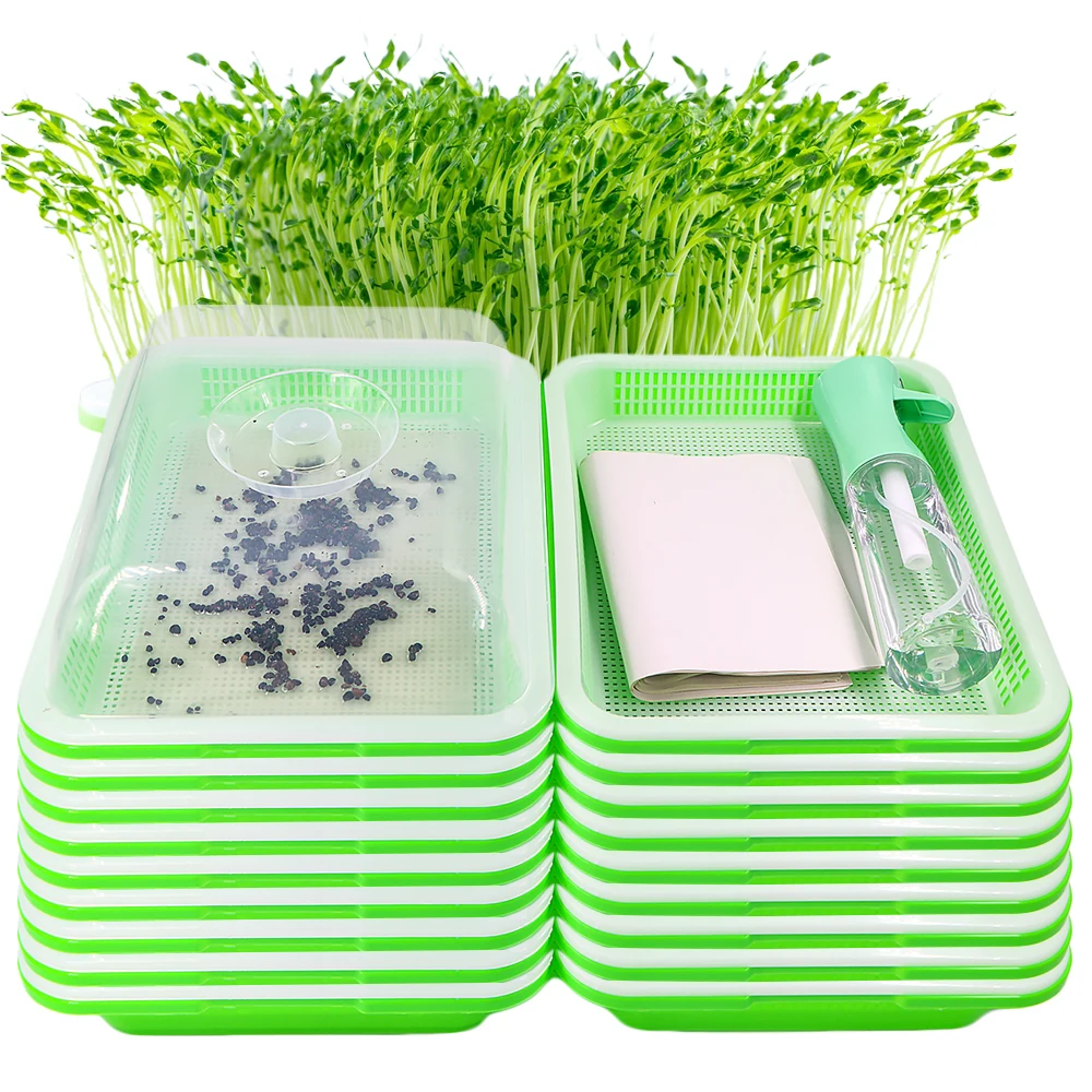 Sämlingsschalen, Keimbox, Sprühflasche, Luftfeuchtigkeit, transparente Abdeckung, Kindergarten, Sämling für Gewächshaus, Innengarten, Wachstumstöpfe Image