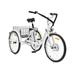 Viribus 26 Electric Tricycle 350W Cruiser Tricycle w Basket 36V 10Ah Cream for Adult Unisex