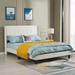 Beige Velvet Upholstered Bed Frame, Queen, Vertical Channel Tufted