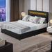 Ivy Bronx Kennady Queen Tufted Storage Platform Bed w/ LED lights & USB Power Strips Upholstered/ in Black/Gray | Wayfair