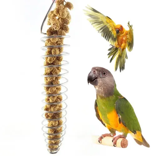 Edelstahl Papagei Vogelfutter Körbe Nahrungs ergänzungs mittel Obst Gemüse Korb Papagei Spielzeug