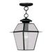 1 Light Outdoor Pendant Lantern in Farmhouse Style 7.5 inches Wide By 11.5 inches High-Black Finish Bailey Street Home 218-Bel-1119595