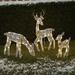 Set of 3 Pre-Lit Light Up Christmas Yard Decoration 2D Christmas Reindeer Outdoor Decoration LED 60 Warm White Lights Outside Lighted Holiday Deer Family Christmas Elk Yard Lawn Home Garden Decoration