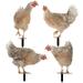 4Pcs Garden Chicken Stake Art Acrylic Hen Yard Arts Hen Stake Sign Garden Decoration