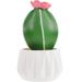 Artificial Cactus Plant Artificial Potted Succulent Living Room Fake Flower Faux Plant Plastic Cactus