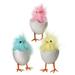 The Holiday Aisle® Feather Chick in Wool Egg Plastic | 4.33 H x 2.36 W x 2.36 D in | Wayfair 6F38CEC0D8F241CCA17D7EED2A2E130D