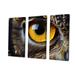 Latitude Run® Close-up of Eye of Brown Owl Wildlife - 3 Piece Wrapped Canvas Print Canvas in White | 28 H x 36 W x 1 D in | Wayfair