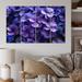 Winston Porter Violets Whispering Photo IV On Canvas 4 Pieces Print in Indigo | Wayfair 503EF012B2B944DDAE8C5FA5ABF1A90F