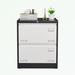 Inbox Zero Maelea 23.62" Wide 2 - Drawer Filing Storage Cabinet Stainless Steel in White/Black | 28.5 H x 23.62 W x 17.71 D in | Wayfair
